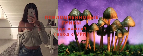 крисы Алексин