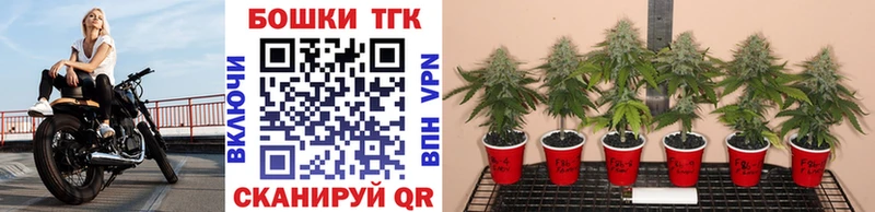 Конопля SATIVA & INDICA  блэк спрут ссылки  Лобня 